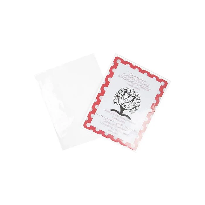 Plastikbeutel 22.7x28.9cm laminiert und Verschweißbar (100 Stück) [LB811NF]