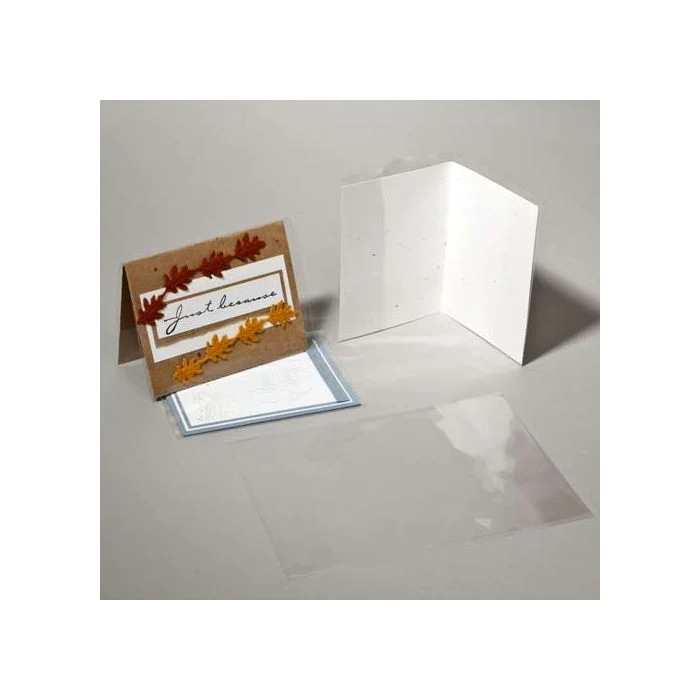 Schutzhüllen für Glückwunschkarten 23.5x29.8cm (100 Stück) [CJ69]