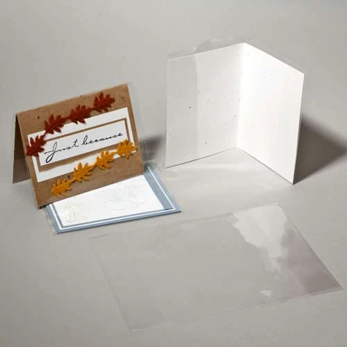 Schutzhüllen für Glückwunschkarten 15.9x21cm (100 Stück) [CJ46]