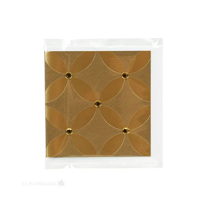 Plastikbeutel 9.7x9.7cm wiederverschließbar (100 Stück) [BD1]