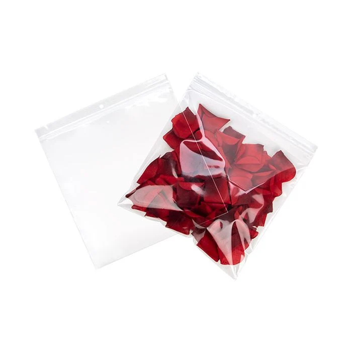 Druckverschlussbeutel mit Euroloch 23x23cm Transparent PP 50 Mikron (100 Stück) [ZR99V]