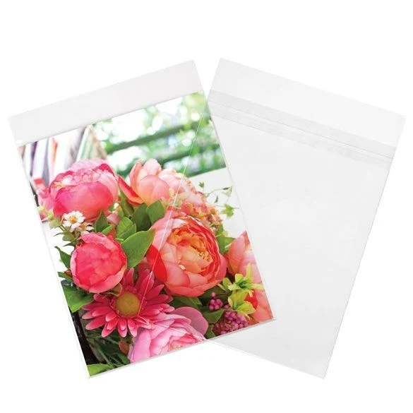 Klappenbeutel 21.4x22.7cm Hochtransparent (100 Stück) [B108SPC]