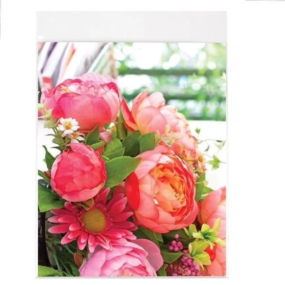 Klappenbeutel 21.4x22.7cm Hochtransparent (100 Stück) [B108SPC]