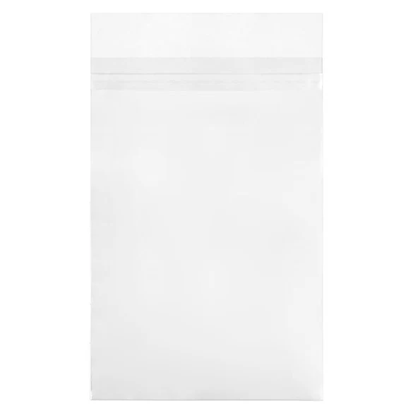 Schutzhüllen für Comics 17.5x26 + 3cm Transparent mit Schutzverschluss (100 Stück [COMIC1PC]