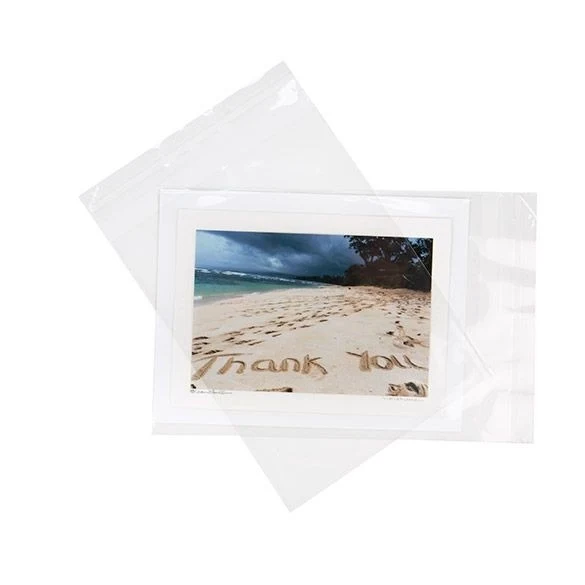 Klappenbeutel 15.9x20.7cm Hochtransparent (100 Stück) [B86S]