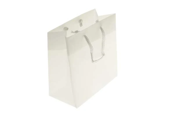 Geschenktaschen 22x7,6x27cm mit Trageschnüren (10 Stück) [G8FT1]
