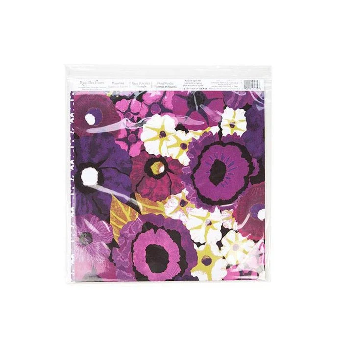 Druckverschlussbeutel mit Euroloch 33x33cm Transparent PP 50 Mikron (100 Stück) [ZC1313V]