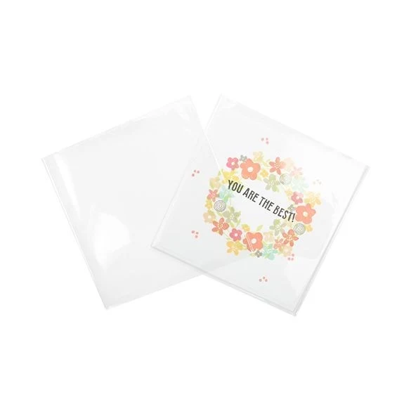 Flachbeutel 14.5x14.6cm OPP Transparent (100 Stück) [B55XLNF]