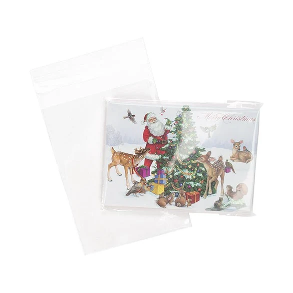 Klappenbeutel 10x13.3cm Hochtransparent (100 Stück) [B3H5]