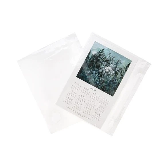 Klappenbeutel 22x14.5cm Hochtransparent (100 Stück) [B9X5]