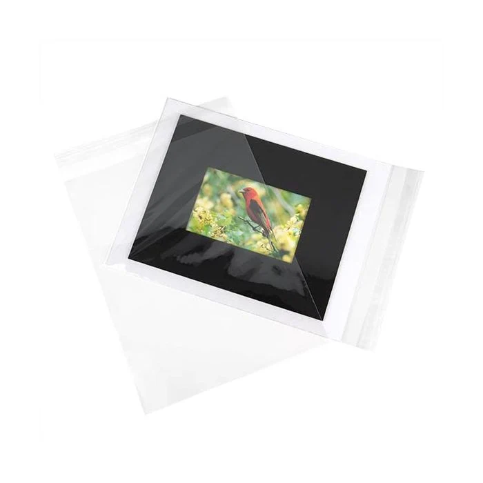Klappenbeutel 24x31.2cm Hochtransparent (100 Stück) [B9]