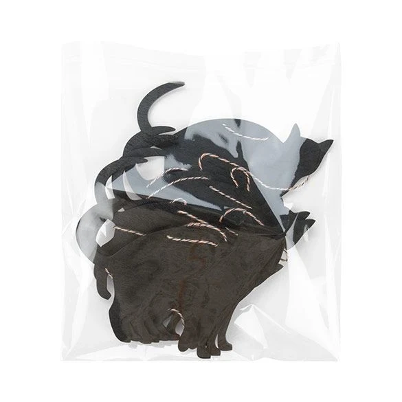Klappenbeutel 22.5x22.2cm Hochtransparent (100 Stück) [B8X8XL]