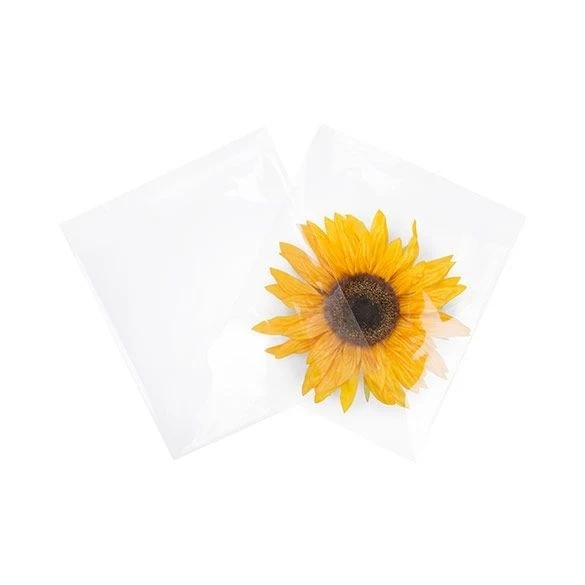 Klappenbeutel 22.1x21.7cm Hochtransparent (100 Stück) [B8X8M]