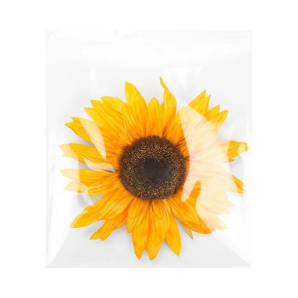 Klappenbeutel 22.1x21.7cm Hochtransparent (100 Stück) [B8X8M]