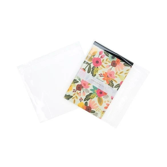 Klappenbeutel 20x15cm Hochtransparent (100 Stück) [B8X6]