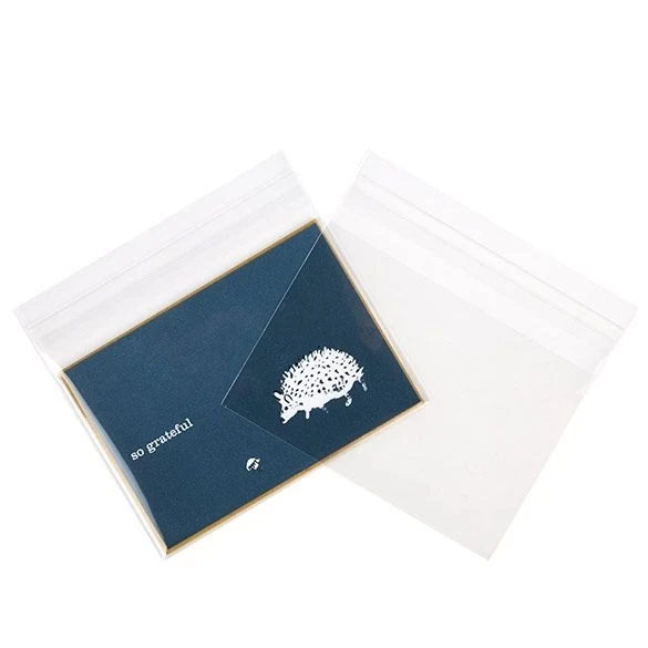 Klappenbeutel 13.5x9.2cm Hochtransparent (100 Stück) [B53XL]
