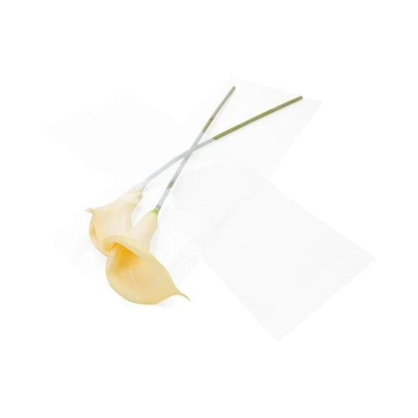 Klappenbeutel 21.9x59.7cm Hochtransparent (100 Stück) [B823]
