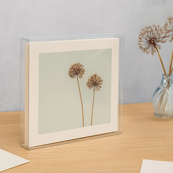 Klarsichtschachteln 20.6x1.6x20.6cm Transparent (25 Stück) [FPB133]