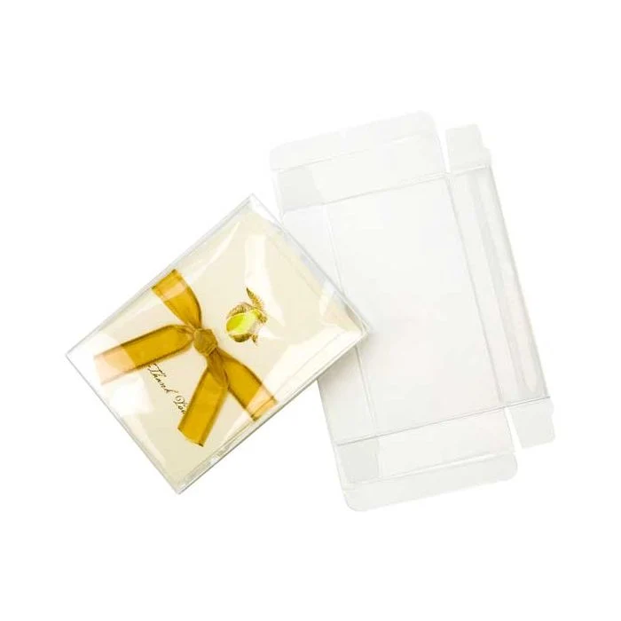 Klarsichtschachteln 9.5x2.5x13.2cm Transparent (25 Stück) [FPB122]