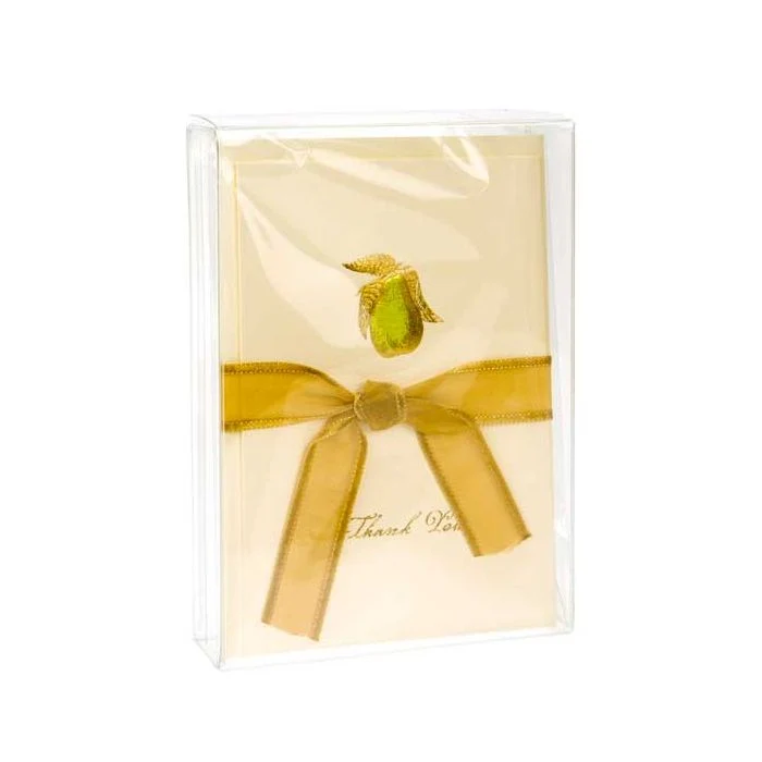Klarsichtschachteln 9.5x2.5x13.2cm Transparent (25 Stück) [FPB122]